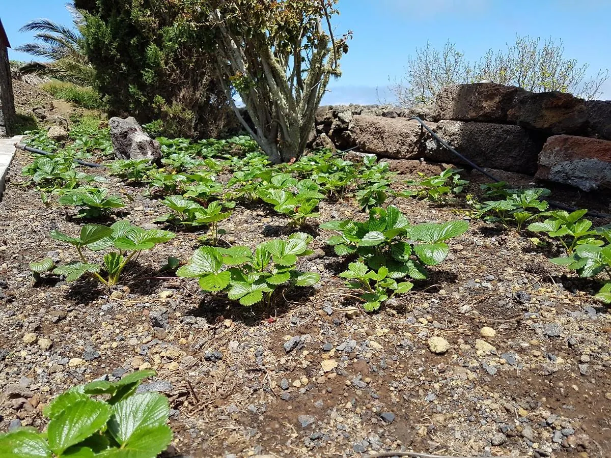 Finca La Sabina Guarazoca